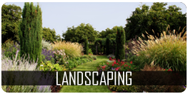 professional landscaping services